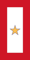 Gold Star Service Banner Decal 3x6"