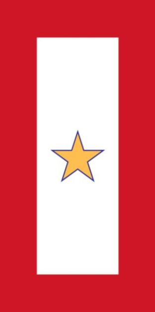 Gold Star Service Banner Decal 3x6"
