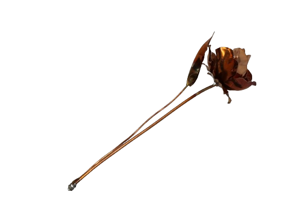 Copper Roses