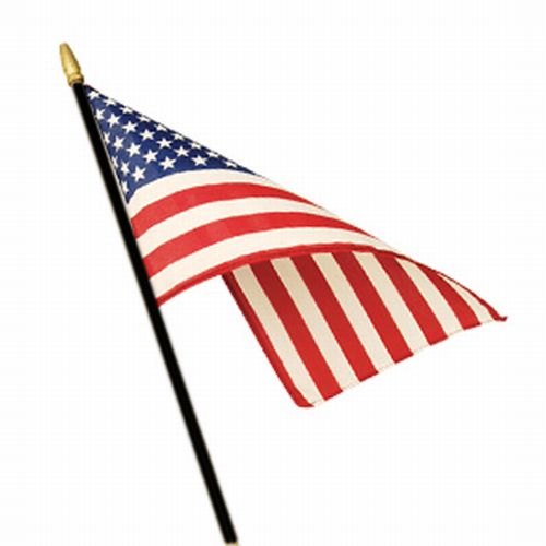 USA  Classroom Stick Flags w/ Spear