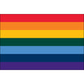 Rainbow Nylon Flag