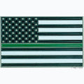 Thin Green Line Lapel Pin