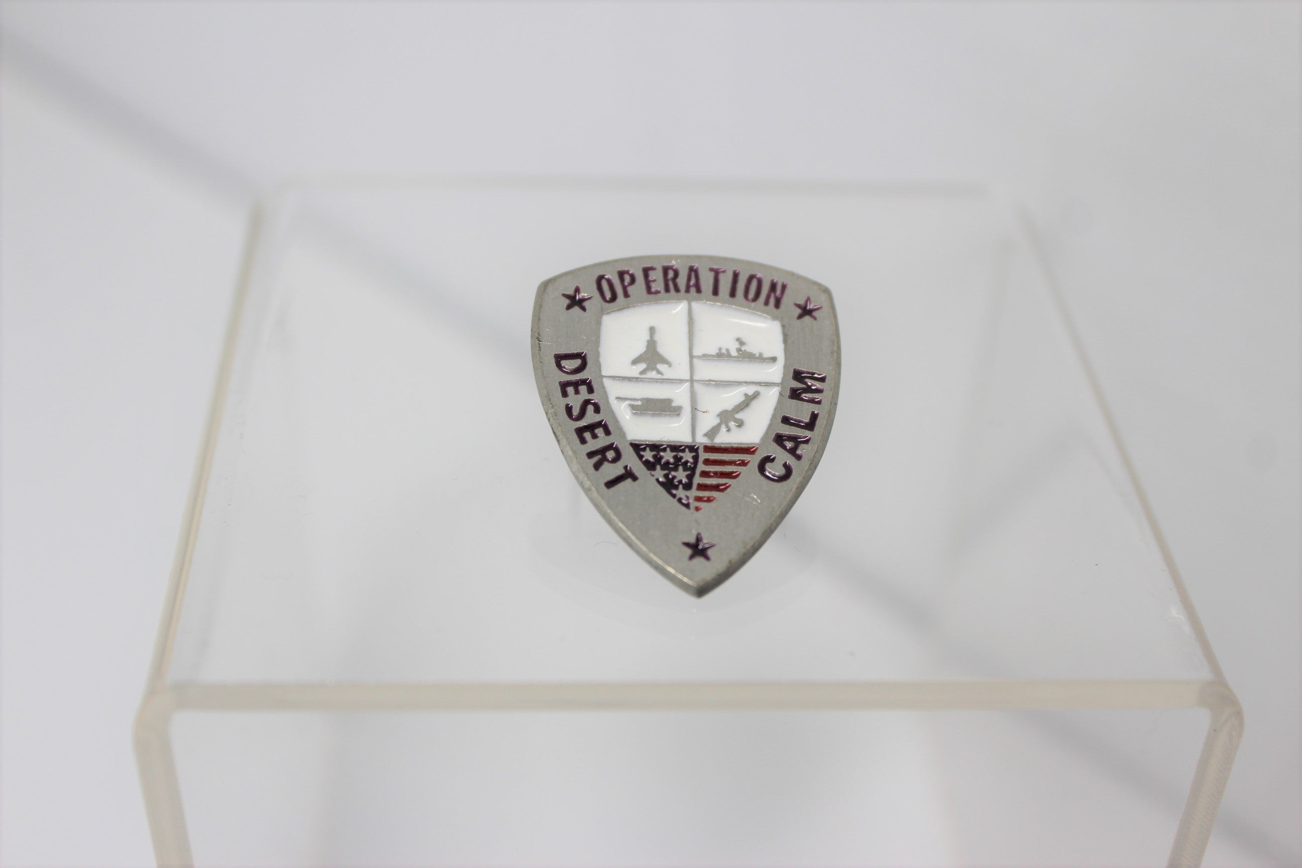 Operation Desert Calm  Lapel Pin