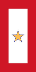 Gold Star Decal