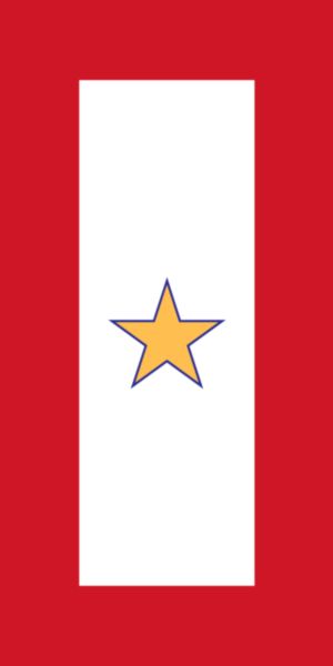 Gold Star Decal