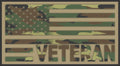 Veteran Desert Camo Flag 2.5"x5"